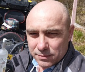 Иван Поляченко, 45 лет, Москва