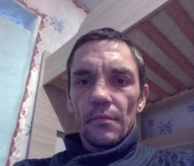Илья Бессольцев, 38 лет, Томск
