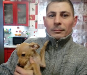 Денис Бауэр, 42 года, Ленинск-Кузнецкий