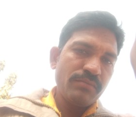 Devendra Salvi, 38 лет, Indore