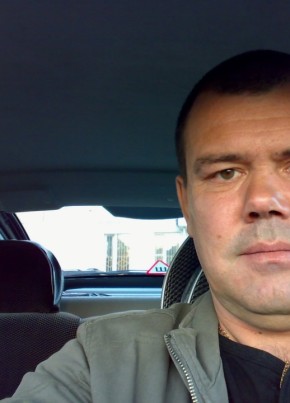 Александр Тегин, 57, Россия, Донской (Тула)