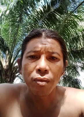 Noh tahir, 42, Indonesia, Kota Bontang