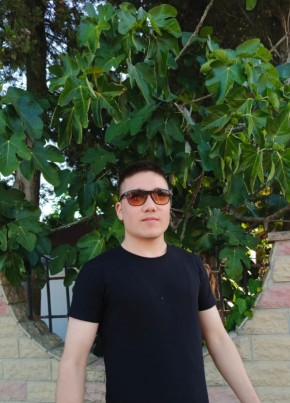 Aslan из İstanbul 20 лет