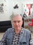 Владимир, 71 год, Серебряные Пруды