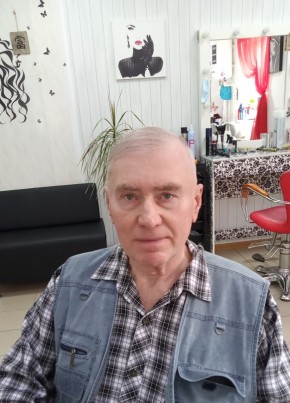 Владимир, 71, Россия, Серебряные Пруды