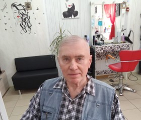 Владимир, 71 год, Серебряные Пруды