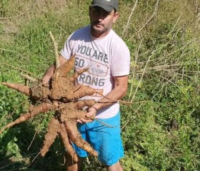 Túlio souza, 43, Blumenau