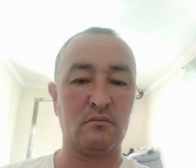 Admen Admenka, 48 лет, Toshkent