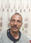 العقادي, 61, Damietta