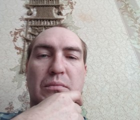 Виталий, 38 лет, Владимир