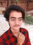 Kaleem Rajpoot, 23 года, کراچی