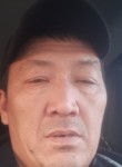 Дамир Шаршенов, 52 года, Бишкек