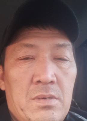 Дамир Шаршенов, 52, Кыргыз Республикасы, Бишкек