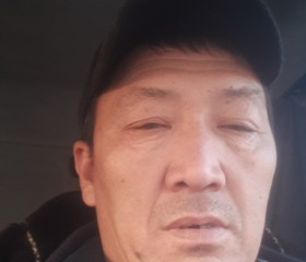 Дамир Шаршенов, 52 года, Бишкек