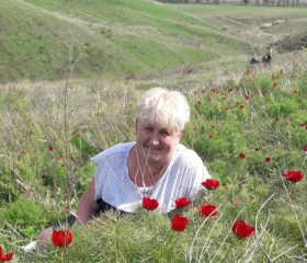 Татьяна, 64 года, Самойловка