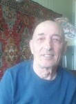 Георгий, 71 год, Тольятти