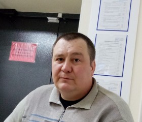 Владимир, 44 года, Ухта