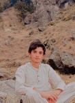 Akhtarali, 18 лет, پشاور
