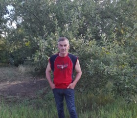 Андрей Петров, 55 лет, Краснодар
