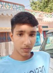 Ansh shrivastav, 19 лет, Lucknow