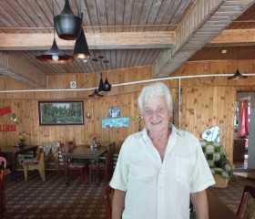 Николай, 67 лет, Гатчина