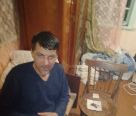 Серый леший, 49 лет, Краснодар