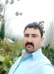 Taimoor, 29 лет, اسلام آباد