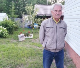 Вячеслав, 73 года, Гусь-Хрустальный