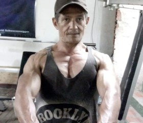 FranzAlarcon, 62 года, Rionegro