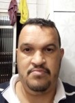 Pedro Ribeiro Si, 45 лет, São Paulo capital