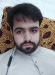 Shahid, 25 лет, کوئٹہ