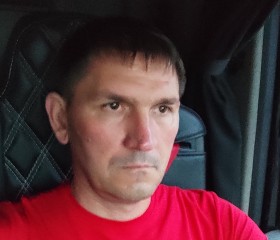 Евгений, 44 года, Петродворец