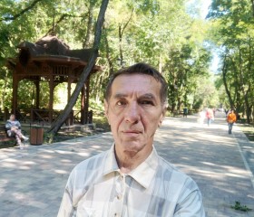 Юрий Мищенко, 66 лет, Поддорье