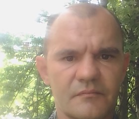 Роман, 41 год, Новоалександровск