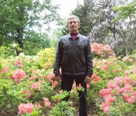 Олег, 72 года, Київ
