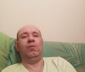 Дмитрий, 52 года, Тула