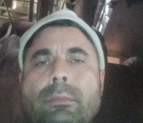 Yogendar Kumar P, 43 года, Kīratpur