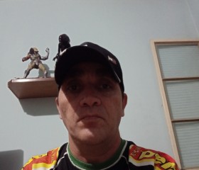 Serginho, 44 года, Região de Campinas (São Paulo)