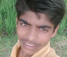 Amit king Chauha, 23 года, Lucknow