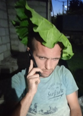 Василий, 29, Україна, Вишневе