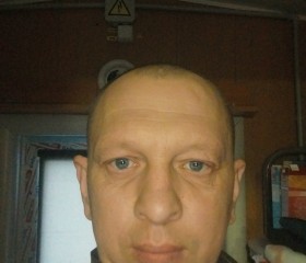 Andrei, 40 лет, Сургут