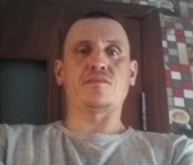Сергей, 40 лет, Белогорск (Амурская обл.)
