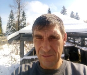 Евгений, 43 года, Бердск