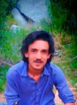Shahzad Ali Shah, 29 лет, فیصل آباد