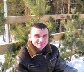 Роман Соловеьев, 43 года, Кашин