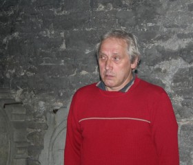 Henri Laursen, 67 лет, Tallinn
