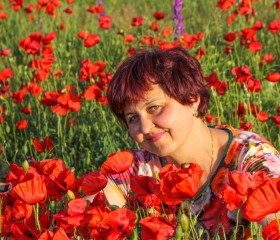 Людмила, 53 года, Демидов