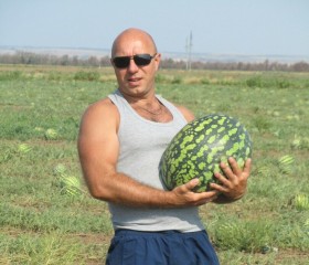 Антон, 47 лет, Озёрск (Челябинская обл.)