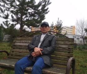 Дмитрий, 50 лет, Домодедово