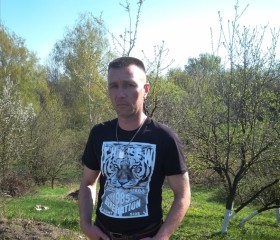 Николай, 43 года, Красний Луч